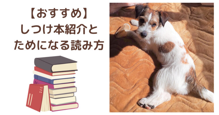 おすすめの犬のしつけ本とためになる読み方